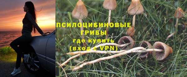 Альфа ПВП Алексин