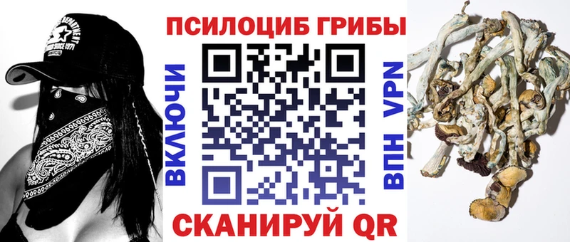 Галлюциногенные грибы Magic Shrooms  продажа наркотиков  Буинск 